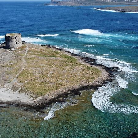 瓦雷多利亚Il Faro La Ciaccia公寓 外观 照片